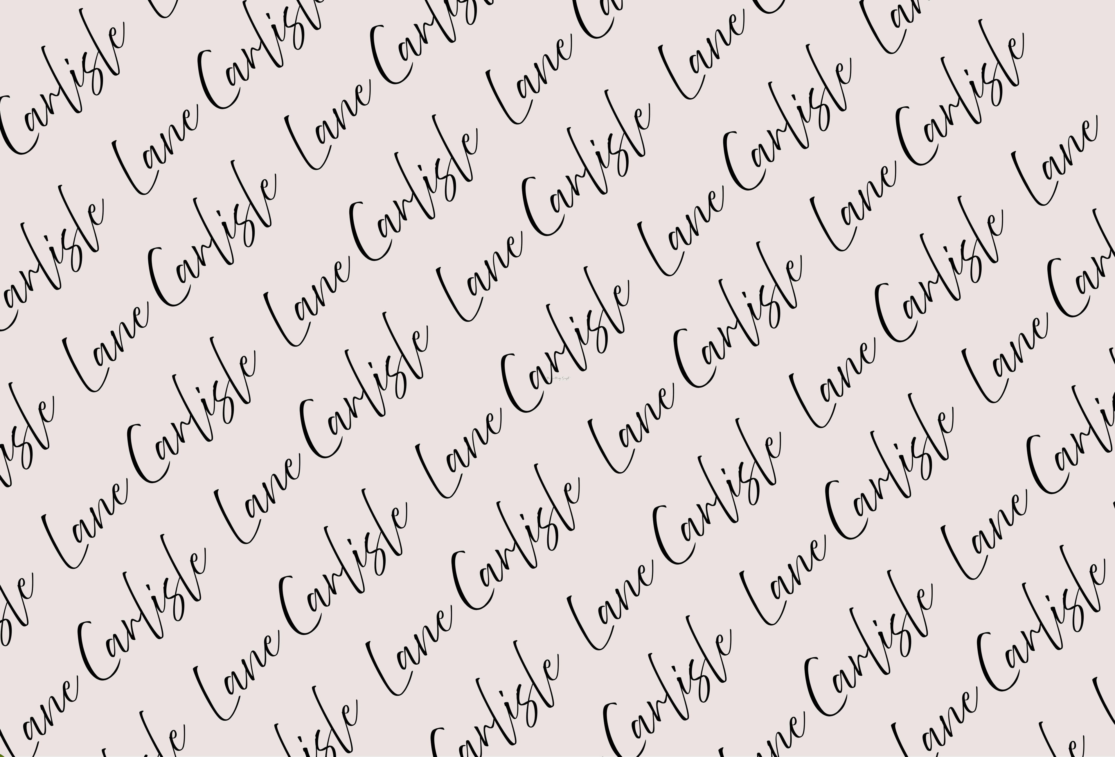 Wrapping Paper